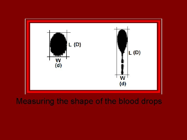 Measuring the shape of the blood drops 