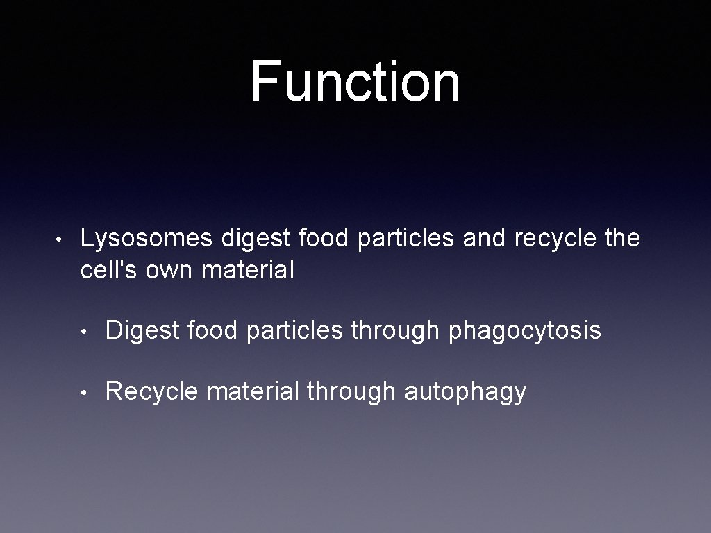 Function • Lysosomes digest food particles and recycle the cell's own material • Digest