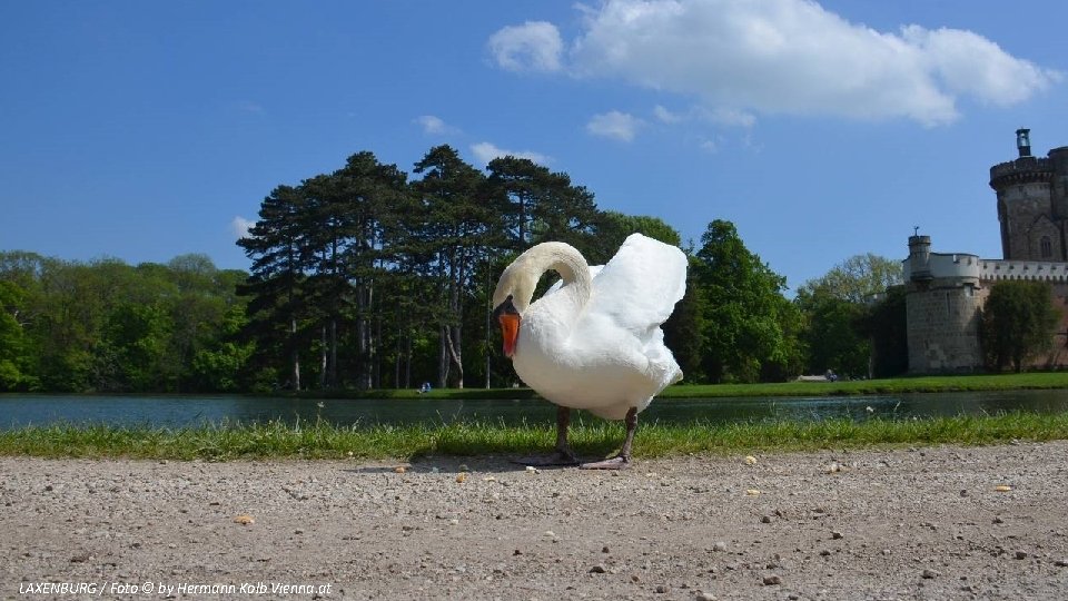 LAXENBURG / Foto © by Hermann Kolb Vienna. at 