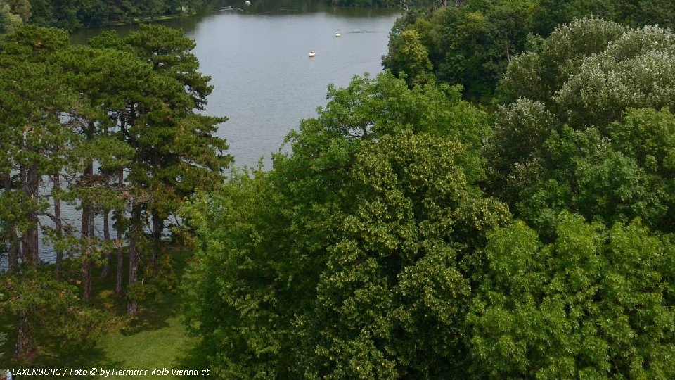 LAXENBURG / Foto © by Hermann Kolb Vienna. at 