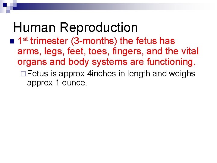 Human Reproduction n 1 st trimester (3 -months) the fetus has arms, legs, feet,