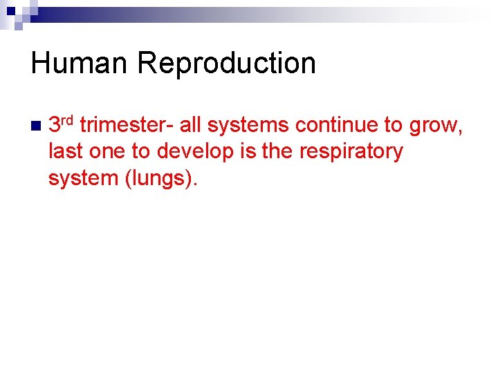 Human Reproduction n 3 rd trimester- all systems continue to grow, last one to