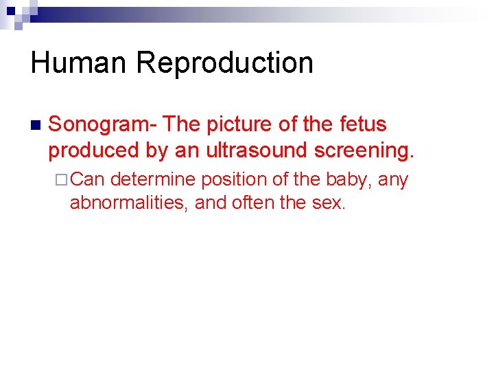 Human Reproduction n Sonogram- The picture of the fetus produced by an ultrasound screening.