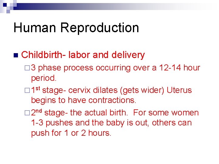 Human Reproduction n Childbirth- labor and delivery ¨ 3 phase process occurring over a