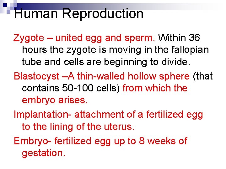 Human Reproduction Zygote – united egg and sperm. Within 36 hours the zygote is
