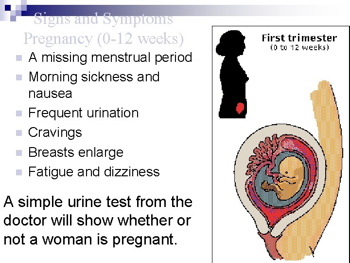 Signs and Symptoms Pregnancy (0 -12 weeks) n n n A missing menstrual period