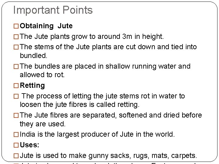Important Points � Obtaining Jute � The Jute plants grow to around 3 m