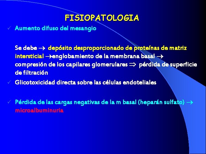 FISIOPATOLOGIA ü Aumento difuso del mesangio Se debe depósito desproporcionado de proteínas de matriz