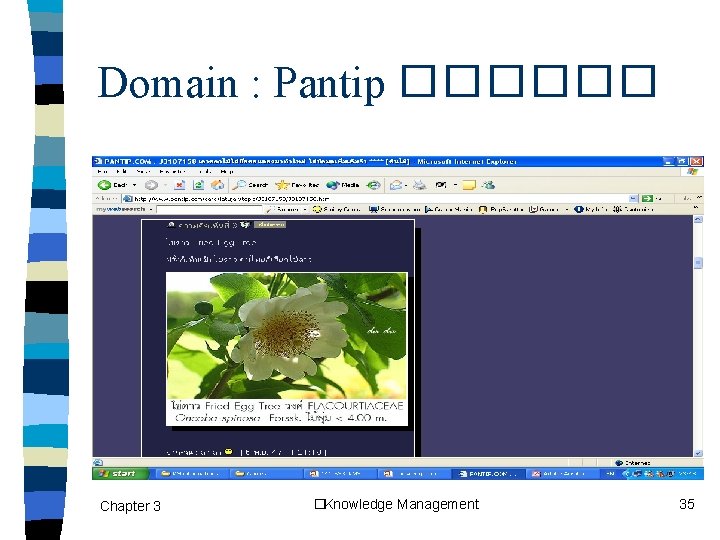 Domain : Pantip ������ Chapter 3 �Knowledge Management 35 
