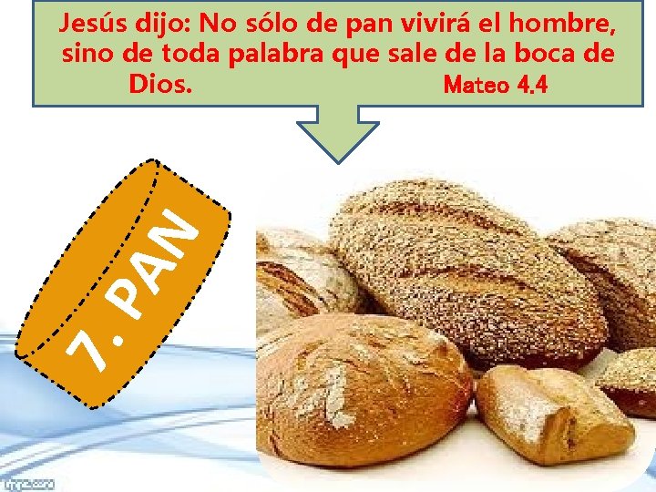 7. PA N Jesús dijo: No sólo de pan vivirá el hombre, sino de