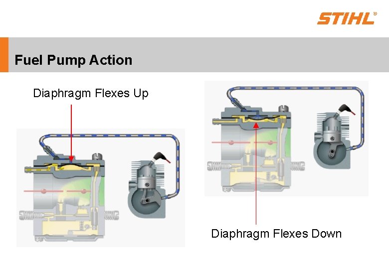 Fuel Pump Action Diaphragm Flexes Up Diaphragm Flexes Down 