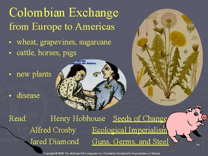 Colombian Exchange from Europe to Americas wheat, grapevines, sugarcane • cattle, horses, pigs •