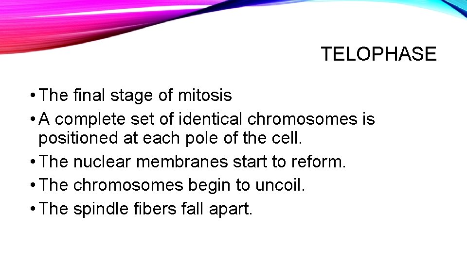 TELOPHASE • The final stage of mitosis • A complete set of identical chromosomes