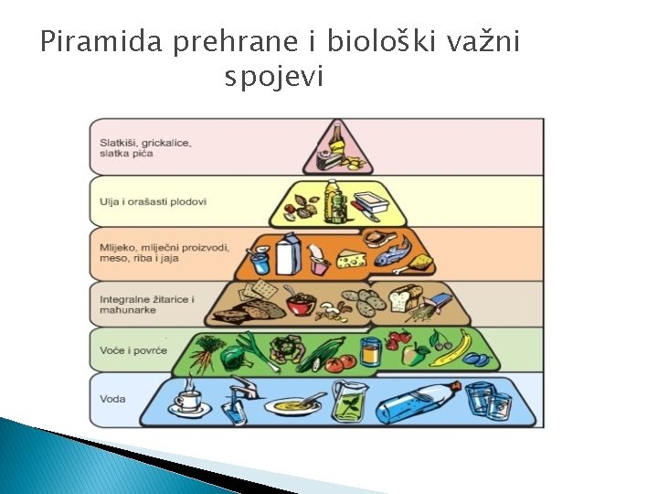 Piramida prehrane i biološki važni spojevi 