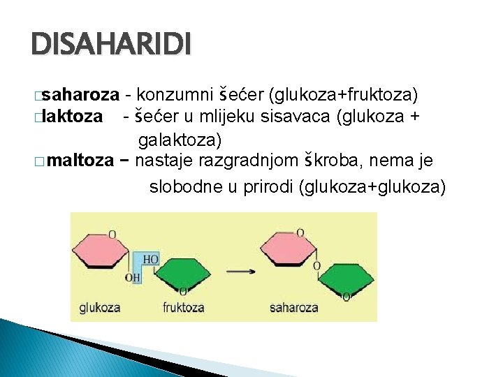 DISAHARIDI - konzumni šećer (glukoza+fruktoza) �laktoza - šećer u mlijeku sisavaca (glukoza + galaktoza)