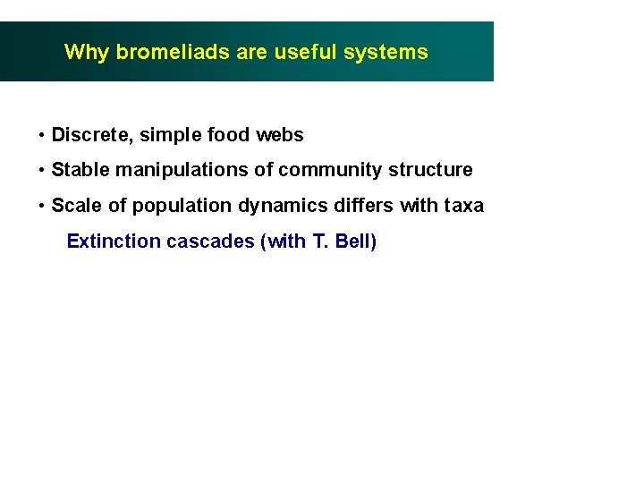 Why bromeliads are useful systems • Discrete, simple food webs • Stable manipulations of