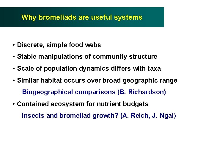 Why bromeliads are useful systems • Discrete, simple food webs • Stable manipulations of
