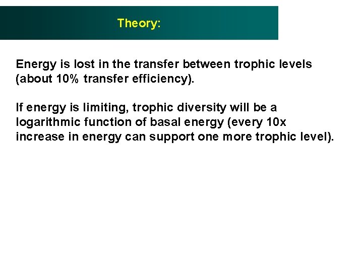 Theory: Energy is lost in the transfer between trophic levels (about 10% transfer efficiency).