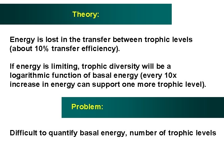 Theory: Energy is lost in the transfer between trophic levels (about 10% transfer efficiency).