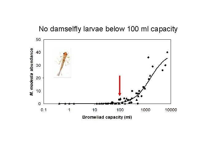 No damselfly larvae below 100 ml capacity 