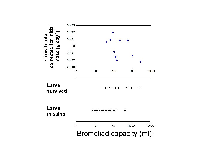 Growth rate, corrected for initial mass (g day-1) Larva survived Larva missing Bromeliad capacity