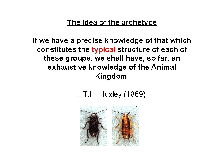 The idea of the archetype If we have a precise knowledge of that which