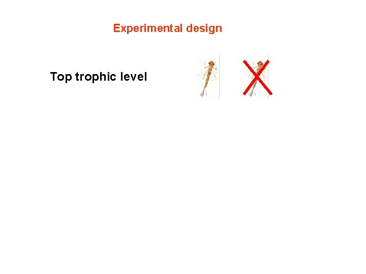 Experimental design Top trophic level 