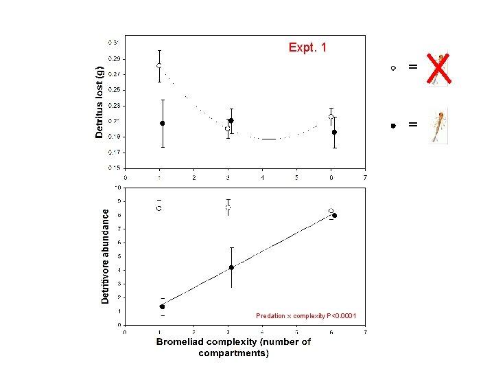 Expt. 1 = = Predation x complexity P<0. 0001 