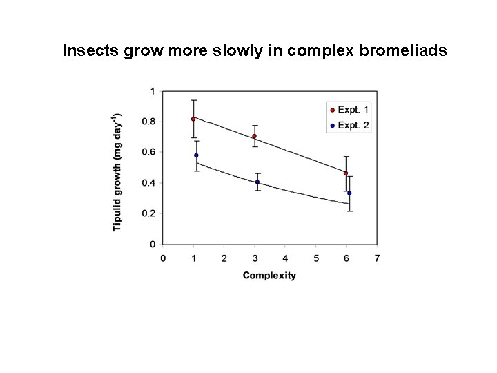 Insects grow more slowly in complex bromeliads 