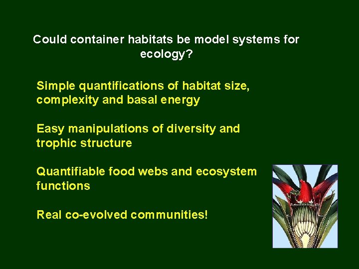 Could container habitats be model systems for ecology? Simple quantifications of habitat size, complexity