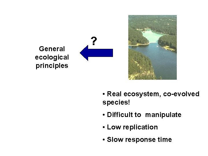 General ecological principles ? • Real ecosystem, co-evolved species! • Difficult to manipulate •