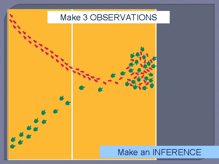 Make 3 OBSERVATIONS Make an INFERENCE 