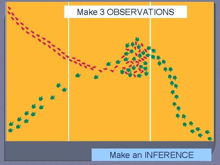 Make 3 OBSERVATIONS Make an INFERENCE 