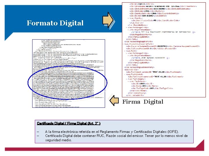 Formato Digital Firma Digital Certificado Digital / Firma Digital (Art. 2° ) — —