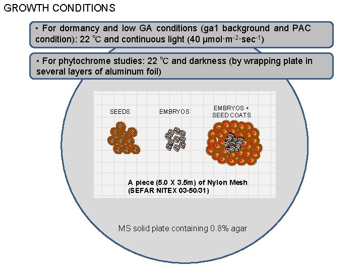 GROWTH CONDITIONS • For dormancy and low GA conditions (ga 1 background and PAC