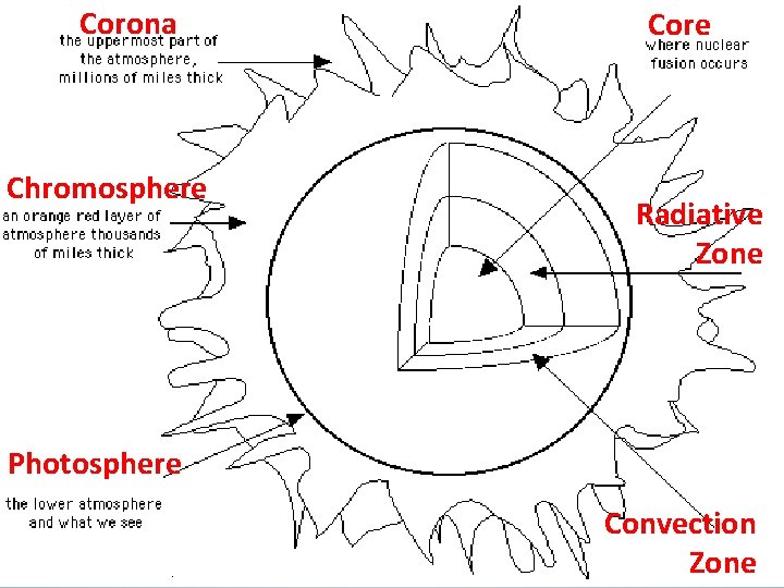Corona Chromosphere Core Radiative Zone Photosphere Convection Zone 