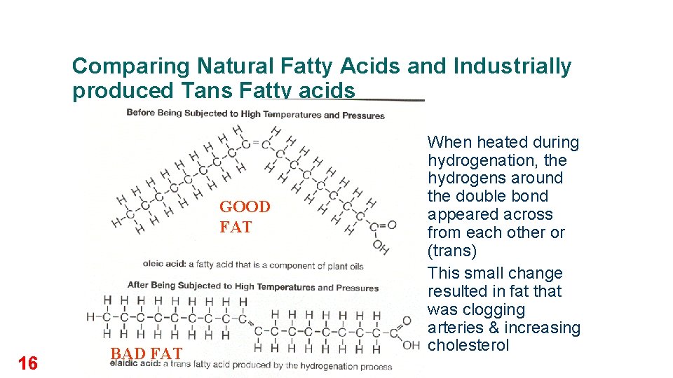 Comparing Natural Fatty Acids and Industrially produced Tans Fatty acids l GOOD FAT l