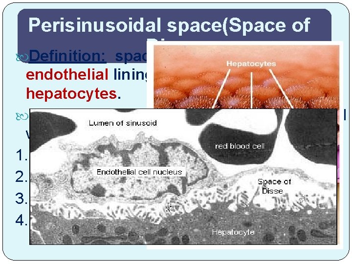 Perisinusoidal space(Space of Disse ) Definition: space that exists between the endothelial lining of
