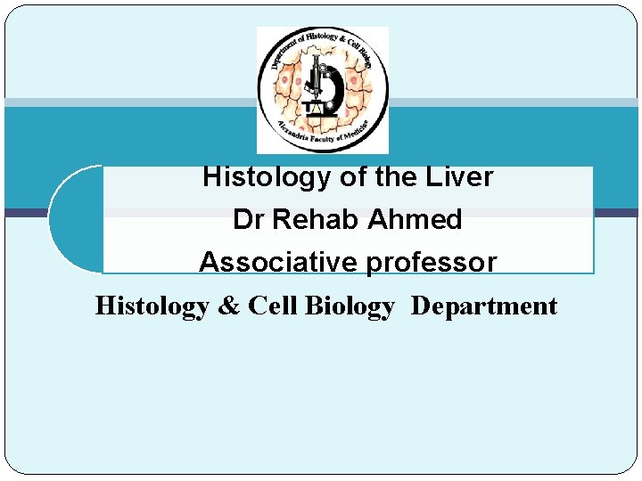 Histology of the Liver Dr Rehab Ahmed Associative professor Histology & Cell Biology Department