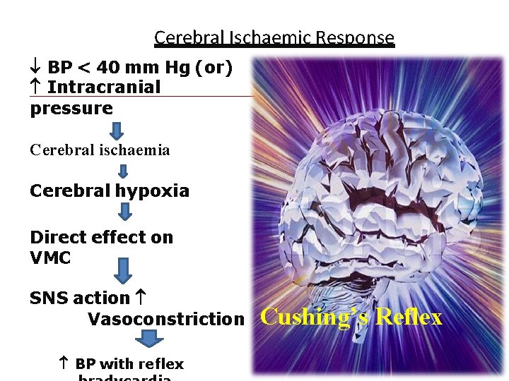 Cerebral Ischaemic Response BP < 40 mm Hg (or) Intracranial pressure Cerebral ischaemia Cerebral