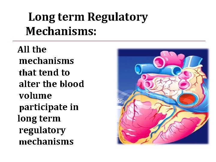 Long term Regulatory Mechanisms: All the mechanisms that tend to alter the blood volume