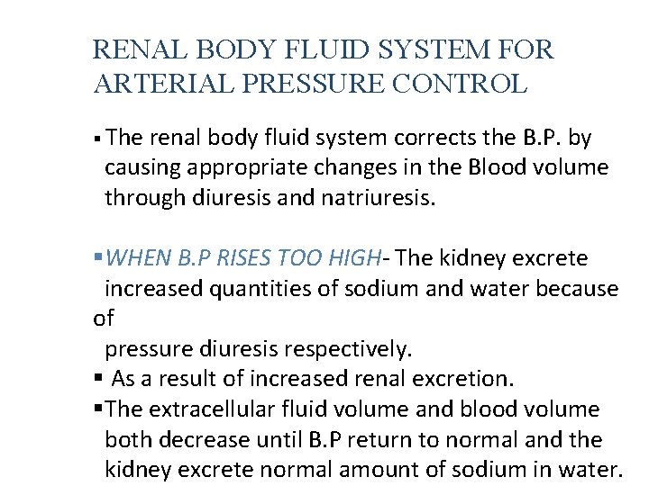 RENAL BODY FLUID SYSTEM FOR ARTERIAL PRESSURE CONTROL § The renal body fluid system