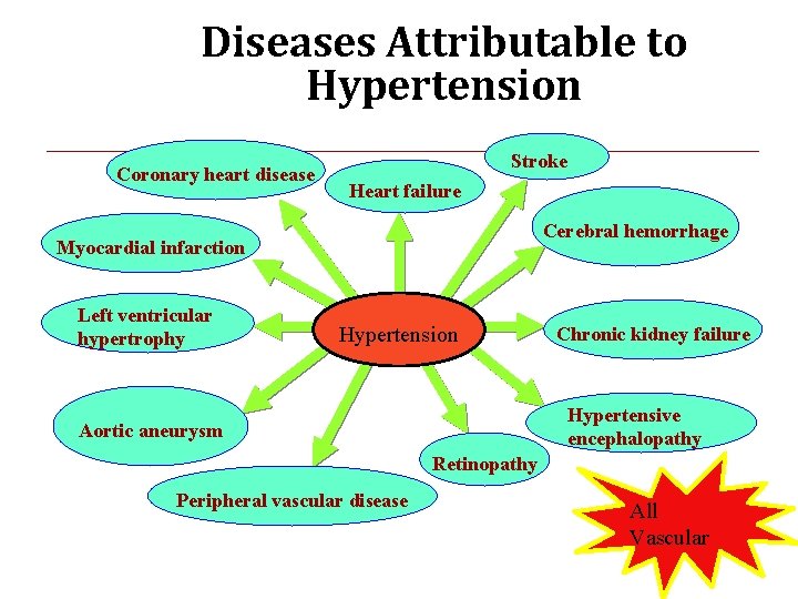 Diseases Attributable to Hypertension Coronary heart disease Stroke Heart failure Cerebral hemorrhage Myocardial infarction