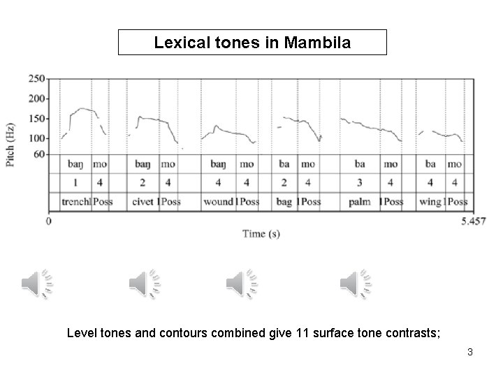 Lexical tones in Mambila Level tones and contours combined give 11 surface tone contrasts;