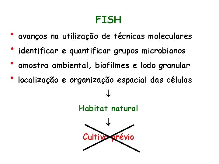 FISH • avanços na utilização de técnicas moleculares • identificar e quantificar grupos microbianos