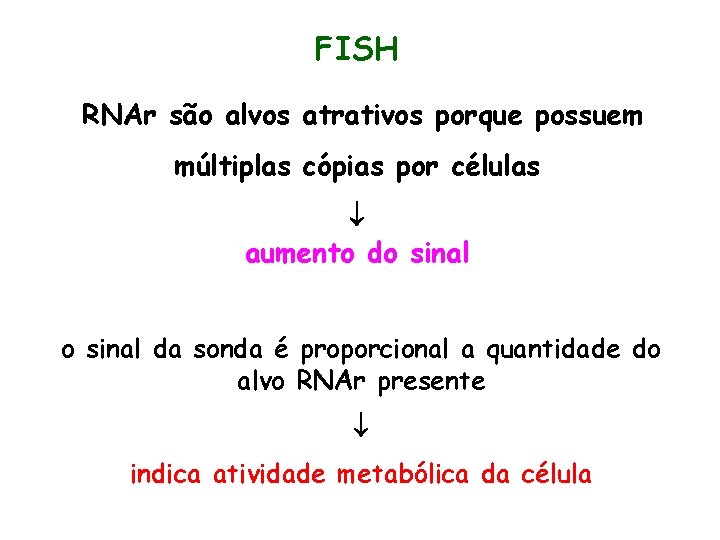 FISH RNAr são alvos atrativos porque possuem múltiplas cópias por células aumento do sinal