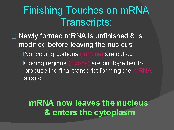 Finishing Touches on m. RNA Transcripts: � Newly formed m. RNA is unfinished &