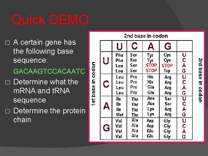 Quick DEMO � A certain gene has the following base sequence: GACAAGTCCACAATC Determine what