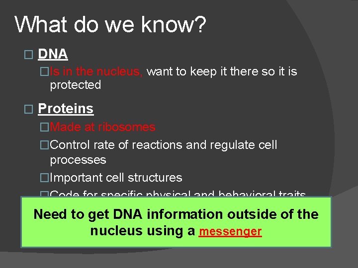 What do we know? � DNA �Is in the nucleus, want to keep it