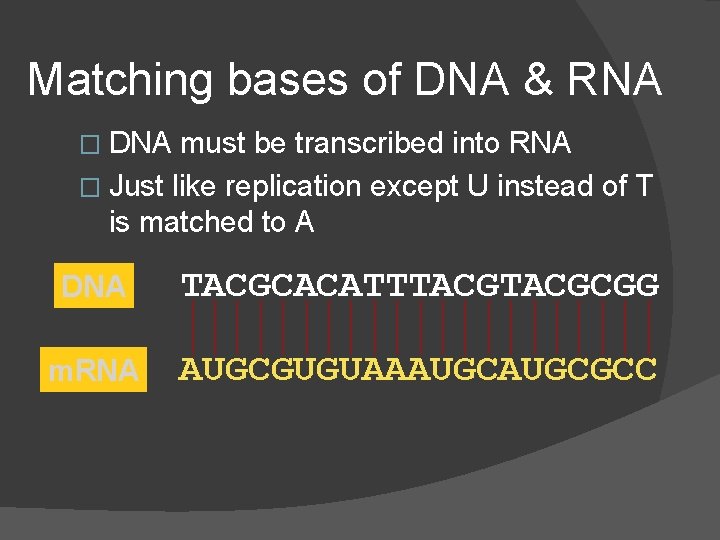 Matching bases of DNA & RNA � DNA must be transcribed into RNA �